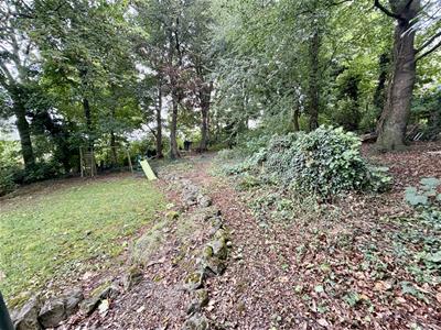 Picture 23